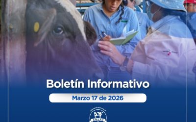 Nota informativa 17 de marzo de 2026