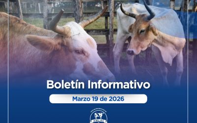 Nota informativa 19 de marzo de 2026