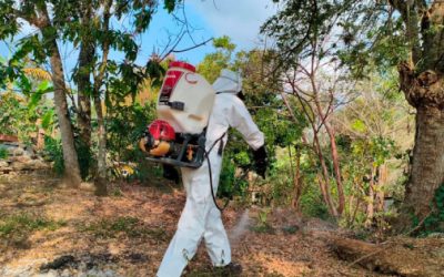 Miasis en San Luis Potosí con dos casos confirmados