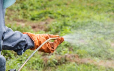 Revive Senado prohibir glifosato