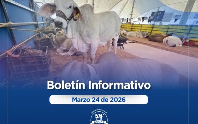 Nota informativa 24 de marzo de 2026