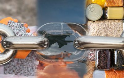 El eslabón invisible: fertilizantes, guerra y alimentos