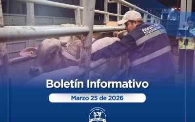 Nota informativa 25 de marzo de 2026