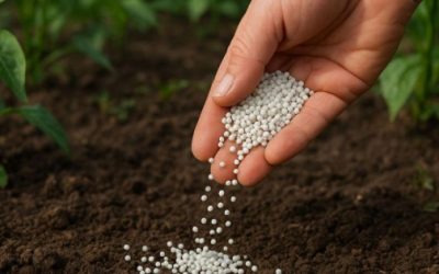 Guerra dispara precios de fertilizantes: CNA