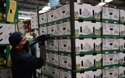 Extorsión alcanza a productores y transportistas de sector agroalimentario