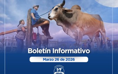 Nota informativa 26 de marzo de 2026