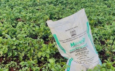 Amenazan fertilizantes