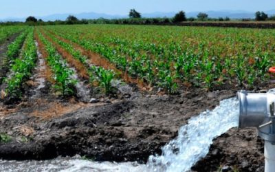 Regar mejor para producir más con menos agua