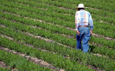 Riesgos globales 2026 y el sector agroalimentario