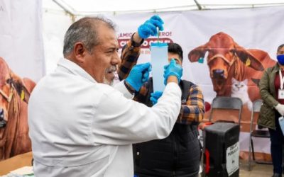 Puebla se blinda contra el gusano barrenador con más de mil 600 trampas en la Sierra Negra
