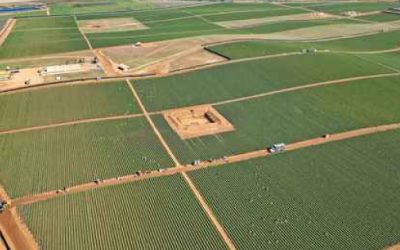 Sin seguridad social, nueve de cada 10 trabajadores agrícolas de San Quintín