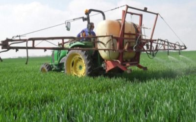 Sufre agro: sube 55% fertilizante por guerra