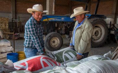 Fertilizantes suben más de 50%; rentabilidad del agro, en riesgo