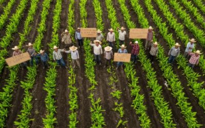El campo mexicano, momentos decisivos