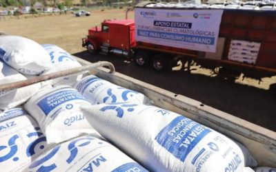 Apoyan a productores con 22 toneladas de semillas de maíz y frijol