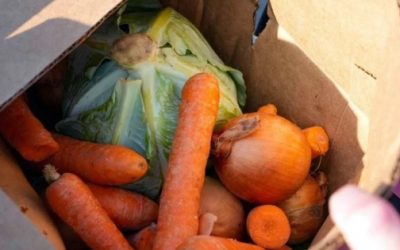 Alza de energía eleva precios mundiales de alimentos 2.4%