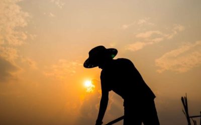 Importante privilegiar y continuar con el diálogo para dar certidumbre a los productores del campo