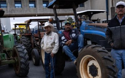 El regreso de los agricultores