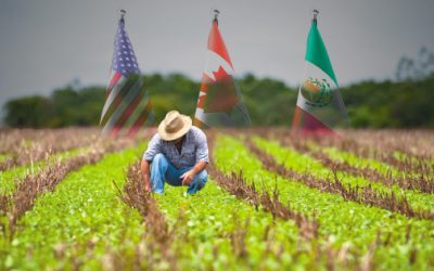 Provoca el T-MEC declive del campo mexicano