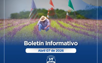 Nota informativa 07 de abril de 2026
