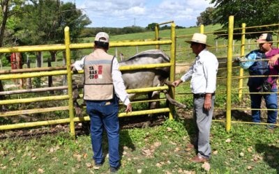 Crédito Ganadero a la Palabra muestra primeros resultados con nacencias y gestaciones en Macuspana