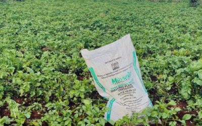 Precios de alimentos y fertilizantes escalan a nivel mundial