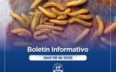 Nota informativa 08 de abril de 2026