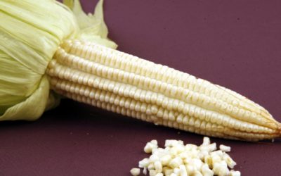 Anticipan caída en granos