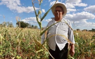 Enfrentan pequeños giros y amas de casa alzas en gas y productos del campo