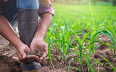 La banca, peor que agiotistas, afirma CNC en Tamaulipas