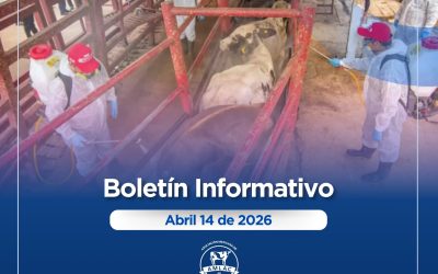 Nota informativa 13 de abril de 2026