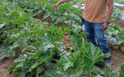 Urgen regularizar concesiones