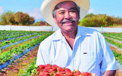 Programa Madre Tierra impulsa agricultura regenerativa