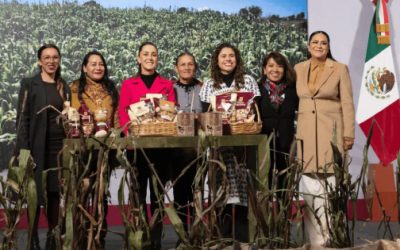 Reordenar el cultivo de maíz, plantea asesora de la Presidencia