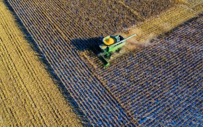 Agricultores de Guanajuato cancelan movilización tras acuerdos con Conagua: mantendrán vigilancia