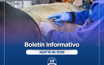 Nota informativa 16 de abril de 2026