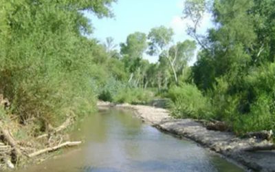 Restringen abasto de agua en 3 municipios de Sonora por estar contaminada