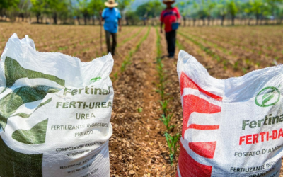 Subida de fertilizantes y abasto en el campo