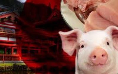 Minerales, autos, carne de cerdo y hasta remesas: así es la relación comercial entre México y Japón