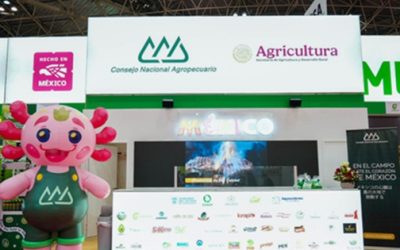 Crece México en Foodex Japón 2026