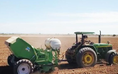 Reporta Bimbo 500 mil hectáreas con agricultura regenerativa